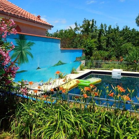 2 Chambres Et Salle De Bain Un Oasis De Bien Etre Piscine Et Jardin Direct Gare Aeroport Тулуза Екстериор снимка