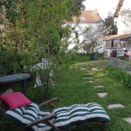 2 Chambres Et Salle De Bain Un Oasis De Bien Etre Piscine Et Jardin Direct Gare Aeroport Тулуза Екстериор снимка