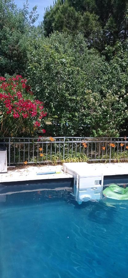 2 Chambres Et Salle De Bain Un Oasis De Bien Etre Piscine Et Jardin Direct Gare Aeroport Тулуза Екстериор снимка
