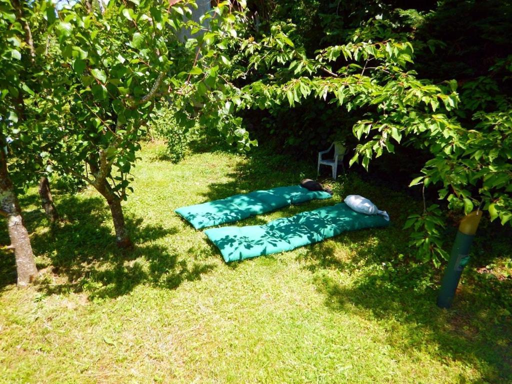 2 Chambres Et Salle De Bain Un Oasis De Bien Etre Piscine Et Jardin Direct Gare Aeroport Тулуза Екстериор снимка