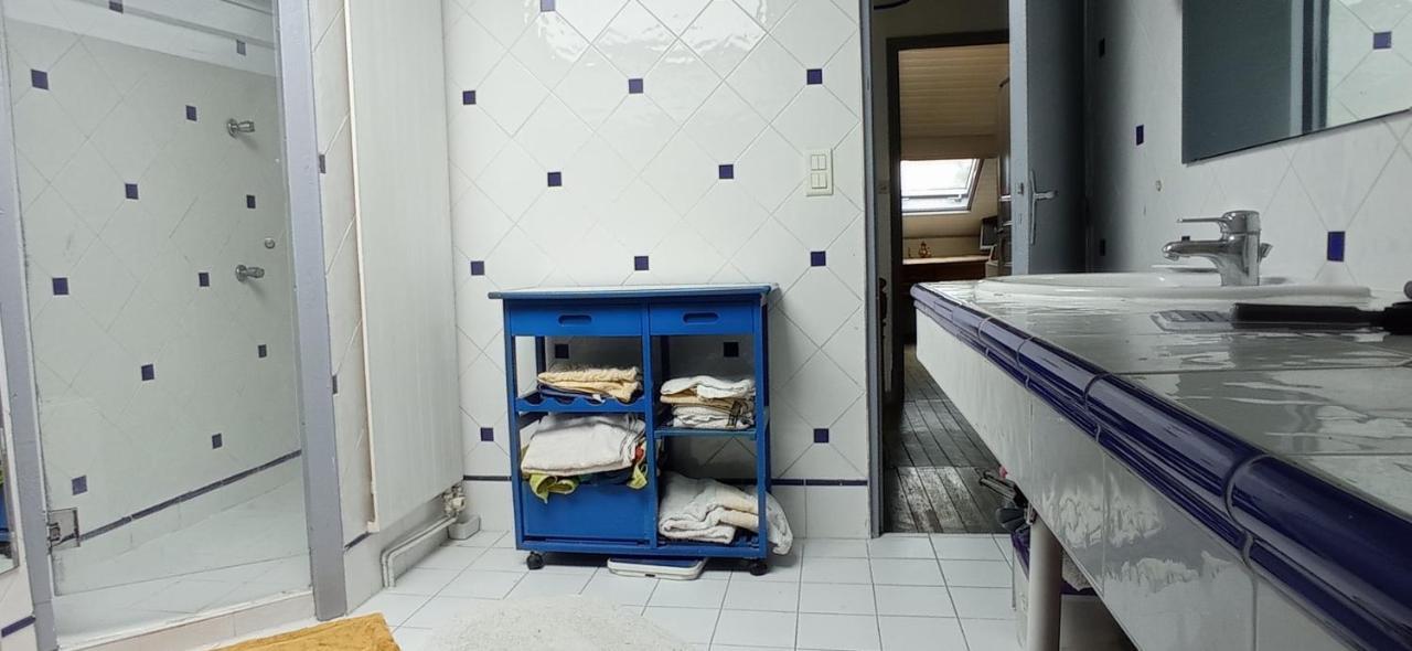 2 Chambres Et Salle De Bain Un Oasis De Bien Etre Piscine Et Jardin Direct Gare Aeroport Тулуза Екстериор снимка